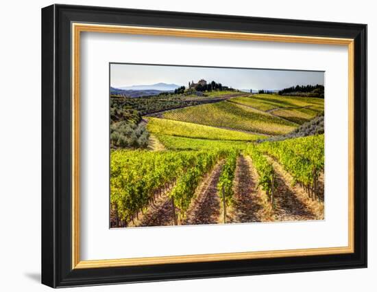 Vineyards in the Rolling Hills of Tuscany-Terry Eggers-Framed Photographic Print