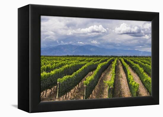 Vineyards in the Uco Valley (Valle De Uco), a Wine Region in Mendoza Province, Argentina-Matthew Williams-Ellis-Framed Premier Image Canvas