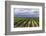 Vineyards in the Uco Valley (Valle De Uco), a Wine Region in Mendoza Province, Argentina-Matthew Williams-Ellis-Framed Photographic Print