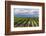 Vineyards in the Uco Valley (Valle De Uco), a Wine Region in Mendoza Province, Argentina-Matthew Williams-Ellis-Framed Photographic Print