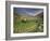 Vineyards in the White Mountains, Crete, Greece-Darrell Gulin-Framed Photographic Print