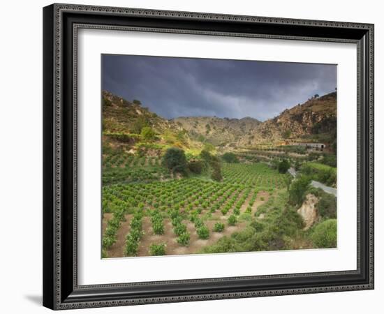 Vineyards in the White Mountains, Crete, Greece-Darrell Gulin-Framed Photographic Print