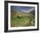 Vineyards in the White Mountains, Crete, Greece-Darrell Gulin-Framed Photographic Print