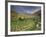 Vineyards in the White Mountains, Crete, Greece-Darrell Gulin-Framed Photographic Print