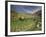 Vineyards in the White Mountains, Crete, Greece-Darrell Gulin-Framed Photographic Print