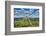 Vineyards, Motovun, Istria, Croatia-Katja Kreder-Framed Photographic Print