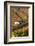 Vineyards, Near Alba, Langhe, Piedmont, Italy-Peter Adams-Framed Photographic Print