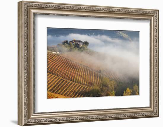 Vineyards, Near Alba, Langhe, Piedmont, Italy-Peter Adams-Framed Photographic Print