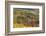 Vineyards, Near Alba, Langhe, Piedmont, Italy-Peter Adams-Framed Photographic Print