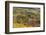 Vineyards, Near Alba, Langhe, Piedmont, Italy-Peter Adams-Framed Photographic Print