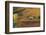 Vineyards, Near Alba, Langhe, Piedmont, Italy-Peter Adams-Framed Photographic Print