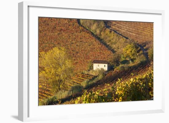 Vineyards, Near Alba, Langhe, Piedmont, Italy-Peter Adams-Framed Photographic Print