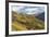 Vineyards Near Bolzano, Trentino-Alto Adige, Suedtirol, Italy-Peter Adams-Framed Photographic Print