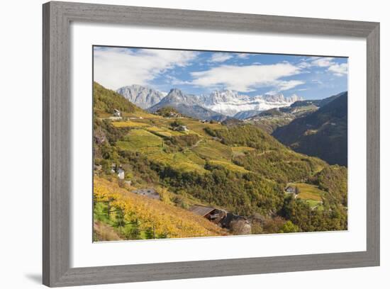 Vineyards Near Bolzano, Trentino-Alto Adige, Suedtirol, Italy-Peter Adams-Framed Photographic Print