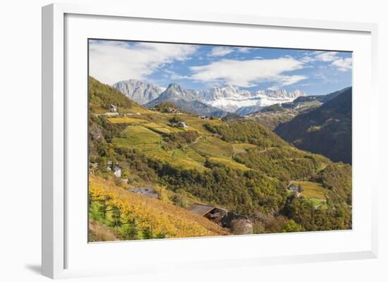 Vineyards Near Bolzano, Trentino-Alto Adige, Suedtirol, Italy-Peter Adams-Framed Photographic Print