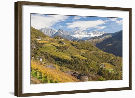 Vineyards Near Bolzano, Trentino-Alto Adige, Suedtirol, Italy-Peter Adams-Framed Photographic Print