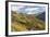 Vineyards Near Bolzano, Trentino-Alto Adige, Suedtirol, Italy-Peter Adams-Framed Photographic Print