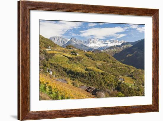 Vineyards Near Bolzano, Trentino-Alto Adige, Suedtirol, Italy-Peter Adams-Framed Photographic Print