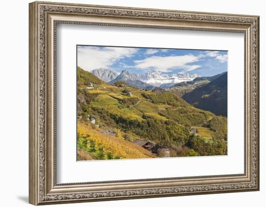 Vineyards Near Bolzano, Trentino-Alto Adige, Suedtirol, Italy-Peter Adams-Framed Photographic Print