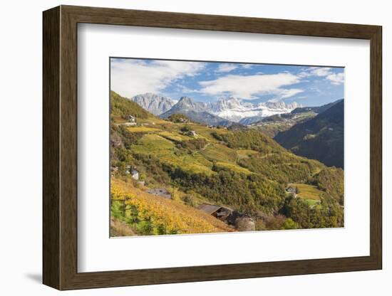 Vineyards Near Bolzano, Trentino-Alto Adige, Suedtirol, Italy-Peter Adams-Framed Photographic Print