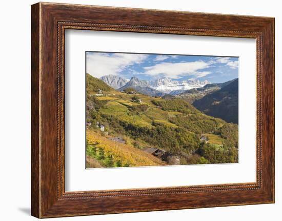 Vineyards Near Bolzano, Trentino-Alto Adige, Suedtirol, Italy-Peter Adams-Framed Photographic Print