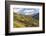 Vineyards Near Bolzano, Trentino-Alto Adige, Suedtirol, Italy-Peter Adams-Framed Photographic Print