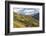 Vineyards Near Bolzano, Trentino-Alto Adige, Suedtirol, Italy-Peter Adams-Framed Photographic Print