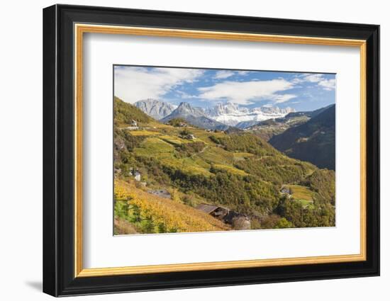 Vineyards Near Bolzano, Trentino-Alto Adige, Suedtirol, Italy-Peter Adams-Framed Photographic Print