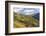 Vineyards Near Bolzano, Trentino-Alto Adige, Suedtirol, Italy-Peter Adams-Framed Photographic Print