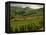 Vineyards Near Cerdon, Bugey, Ain, Rhone Alpes, France, Europe-Michael Busselle-Framed Premier Image Canvas