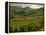 Vineyards Near Cerdon, Bugey, Ain, Rhone Alpes, France, Europe-Michael Busselle-Framed Premier Image Canvas