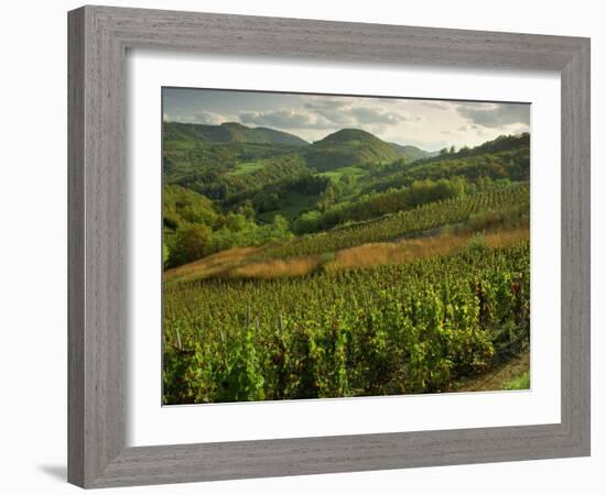 Vineyards Near Cerdon, Bugey, Ain, Rhone Alpes, France, Europe-Michael Busselle-Framed Photographic Print