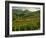 Vineyards Near Cerdon, Bugey, Ain, Rhone Alpes, France, Europe-Michael Busselle-Framed Photographic Print