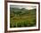 Vineyards Near Cerdon, Bugey, Ain, Rhone Alpes, France, Europe-Michael Busselle-Framed Photographic Print