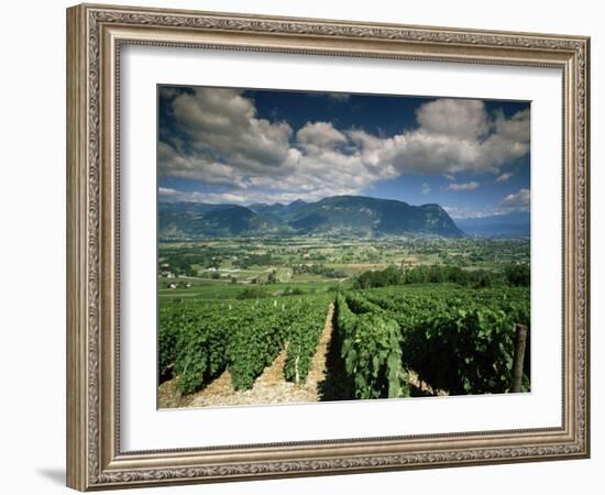 Vineyards Near Chambery, Savoie, Rhone Alpes, France-Michael Busselle-Framed Photographic Print