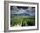 Vineyards Near Chambery, Savoie, Rhone Alpes, France-Michael Busselle-Framed Photographic Print