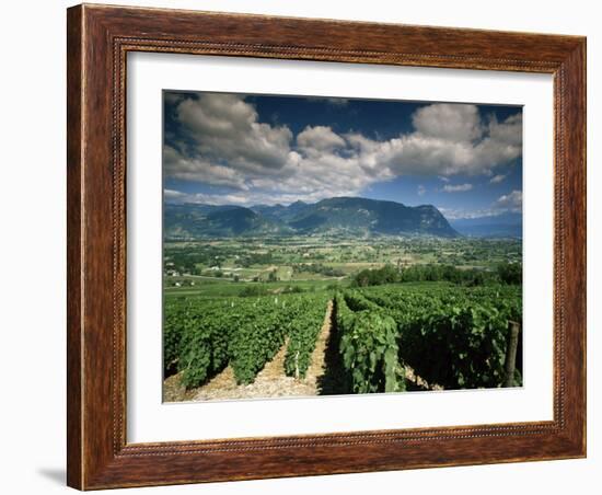 Vineyards Near Chambery, Savoie, Rhone Alpes, France-Michael Busselle-Framed Photographic Print