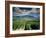 Vineyards Near Chambery, Savoie, Rhone Alpes, France-Michael Busselle-Framed Photographic Print