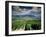 Vineyards Near Chambery, Savoie, Rhone Alpes, France-Michael Busselle-Framed Photographic Print