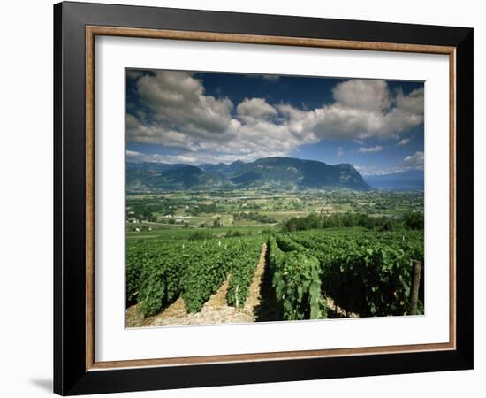 Vineyards Near Chambery, Savoie, Rhone Alpes, France-Michael Busselle-Framed Photographic Print