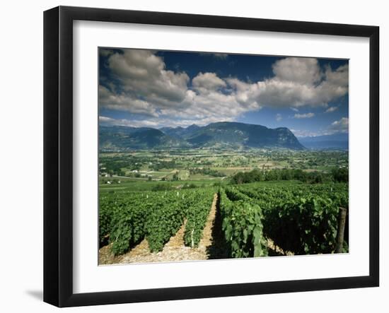 Vineyards Near Chambery, Savoie, Rhone Alpes, France-Michael Busselle-Framed Photographic Print