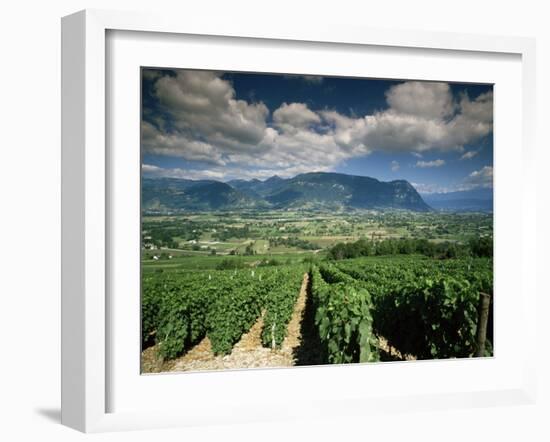 Vineyards Near Chambery, Savoie, Rhone Alpes, France-Michael Busselle-Framed Photographic Print