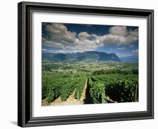 Vineyards Near Chambery, Savoie, Rhone Alpes, France-Michael Busselle-Framed Photographic Print