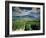 Vineyards Near Chambery, Savoie, Rhone Alpes, France-Michael Busselle-Framed Photographic Print