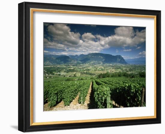 Vineyards Near Chambery, Savoie, Rhone Alpes, France-Michael Busselle-Framed Photographic Print