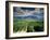 Vineyards Near Chambery, Savoie, Rhone Alpes, France-Michael Busselle-Framed Photographic Print