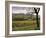 Vineyards Near Chambery, Savoie, Rhone Alpes, France-Michael Busselle-Framed Photographic Print