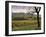 Vineyards Near Chambery, Savoie, Rhone Alpes, France-Michael Busselle-Framed Photographic Print