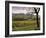 Vineyards Near Chambery, Savoie, Rhone Alpes, France-Michael Busselle-Framed Photographic Print