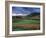 Vineyards Near Chateau Chalon, Jura, Franche Comte, France-Michael Busselle-Framed Photographic Print